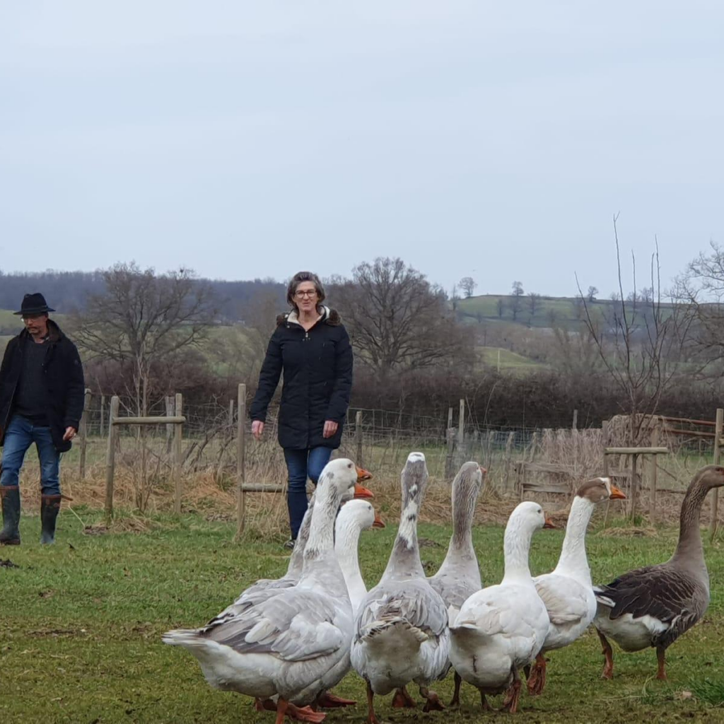Groupe d'oies en présence du coach et du coaché